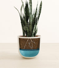 Load image into Gallery viewer, Natural Bamboo