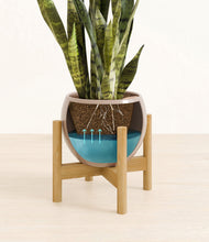 Load image into Gallery viewer, Desert Brown stand:bamboo