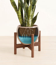 Load image into Gallery viewer, Desert Brown stand:walnut