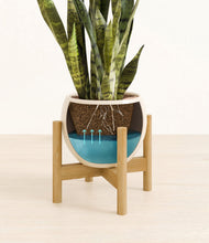 Load image into Gallery viewer, Shiny EggWhite stand:bamboo