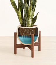 Load image into Gallery viewer, Shiny EggWhite stand:walnut