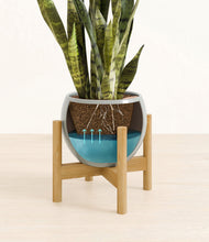 Load image into Gallery viewer, Deep Ocean stand:bamboo