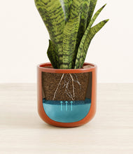 Load image into Gallery viewer, Glossy Red