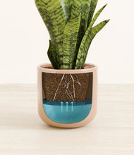 Load image into Gallery viewer, Glossy Pink