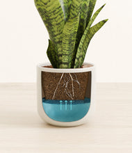 Load image into Gallery viewer, Cotton White