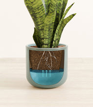 Load image into Gallery viewer, Reactive Aqua