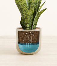 Load image into Gallery viewer, Sage Green