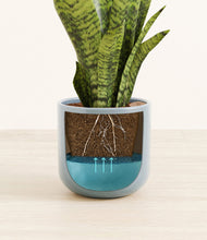 Load image into Gallery viewer, Misty Blue