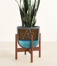 Load image into Gallery viewer, Iron Gray stand:walnut