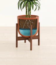 Load image into Gallery viewer, Earth Red stand:walnut