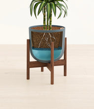 Load image into Gallery viewer, Iron Gray stand:walnut