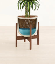 Load image into Gallery viewer, Natural Bamboo stand:walnut