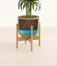 Load image into Gallery viewer, Sage Green stand:bamboo