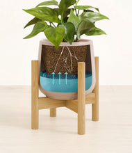 Load image into Gallery viewer, Eternal Gray stand:bamboo