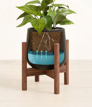 Load image into Gallery viewer, Black stand:walnut