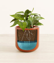 Load image into Gallery viewer, Glossy Red