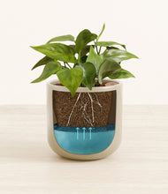 Load image into Gallery viewer, Sage Green