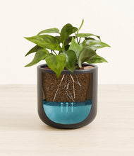 Load image into Gallery viewer, Stone Black