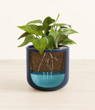 Load image into Gallery viewer, Twilight Blue