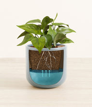 Load image into Gallery viewer, Misty Blue