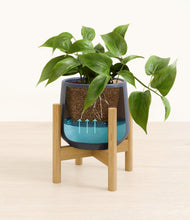 Load image into Gallery viewer, Deep Navy stand:bamboo