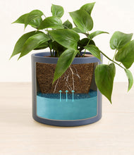 Load image into Gallery viewer, Deep Navy