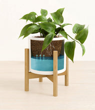 Load image into Gallery viewer, White stand:bamboo