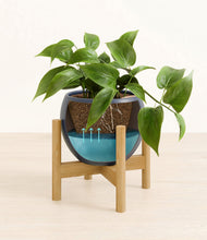 Load image into Gallery viewer, Deep Navy stand:bamboo