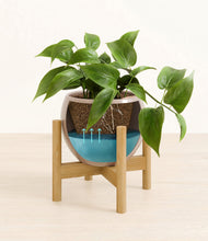 Load image into Gallery viewer, Desert Brown stand:bamboo