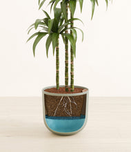 Load image into Gallery viewer, Sage Green