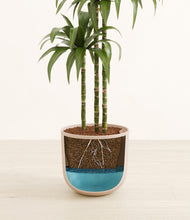 Load image into Gallery viewer, Sandy Pink