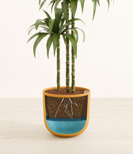 Load image into Gallery viewer, Sunset Orange