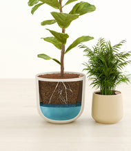 Load image into Gallery viewer, Buttercream