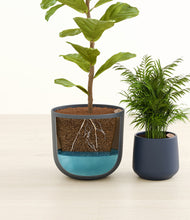 Load image into Gallery viewer, Coastal Breeze