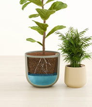 Load image into Gallery viewer, Mountain Ridge