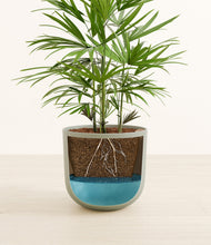 Load image into Gallery viewer, Sage Green