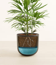 Load image into Gallery viewer, Stone Black