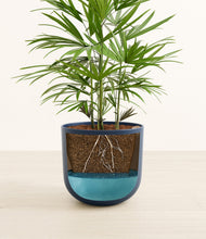 Load image into Gallery viewer, -