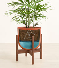 Load image into Gallery viewer, Earth Red stand:walnut