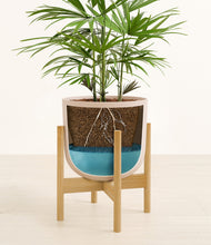 Load image into Gallery viewer, Sandy Pink stand:bamboo