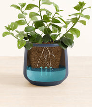 Load image into Gallery viewer, Deep Navy