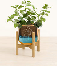 Load image into Gallery viewer, Mustard stand:bamboo