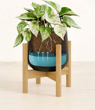 Load image into Gallery viewer, Black stand:bamboo