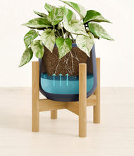 Load image into Gallery viewer, Deep Navy stand:bamboo