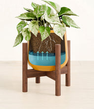 Load image into Gallery viewer, Mustard stand:walnut