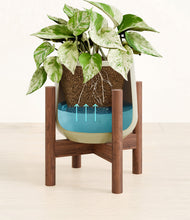 Load image into Gallery viewer, Turquoise stand:walnut