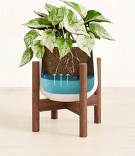 Load image into Gallery viewer, White stand:walnut