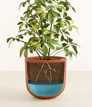 Load image into Gallery viewer, Earth Red