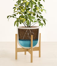 Load image into Gallery viewer, Natural Bamboo stand:bamboo