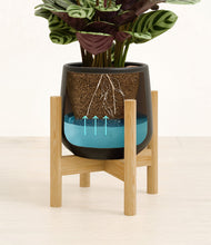 Load image into Gallery viewer, Black stand:bamboo